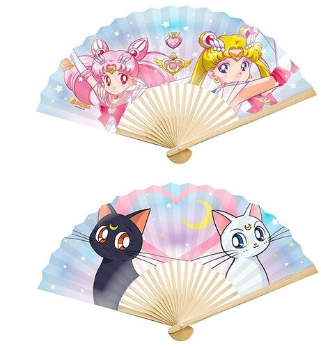 Sailor Moon - Fan - Sailor Moon & Friends