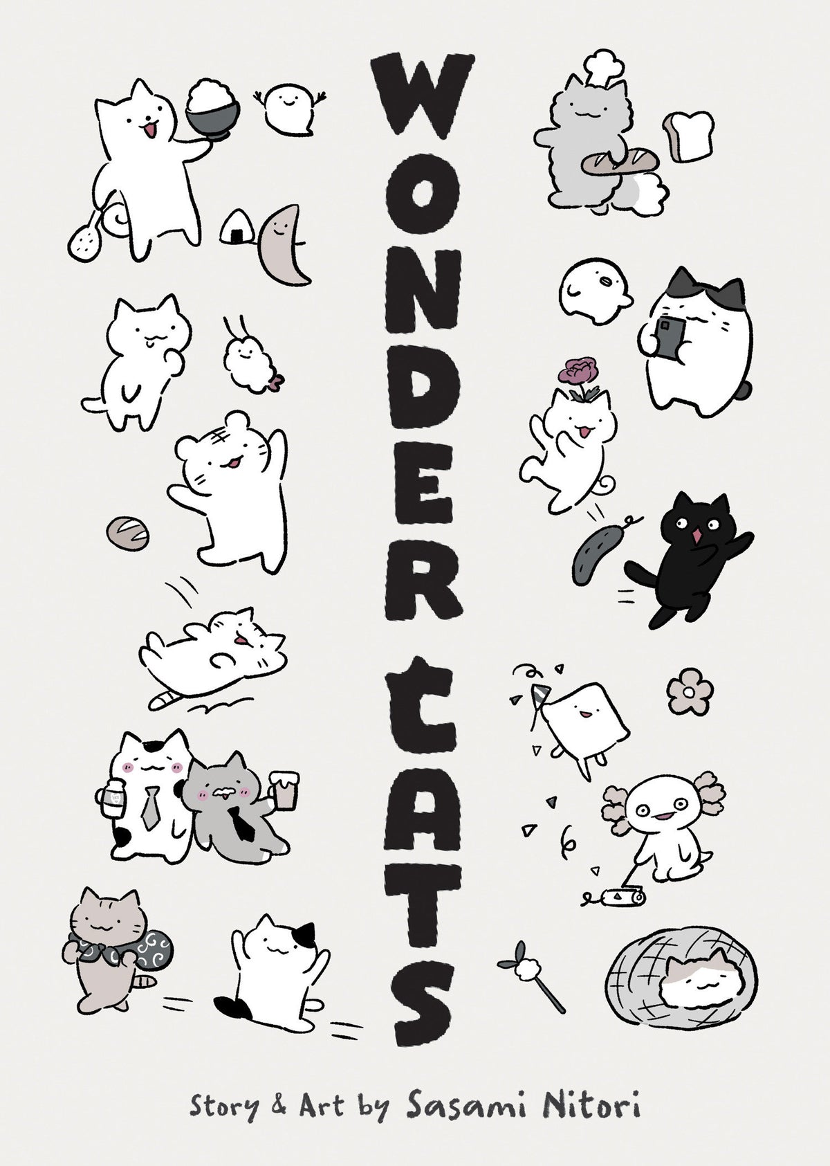 WONDER CATS