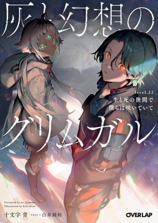 Grimgar of Fantasy and Ash (Light Novel) Vol. 22 FOC November 30, 2026
