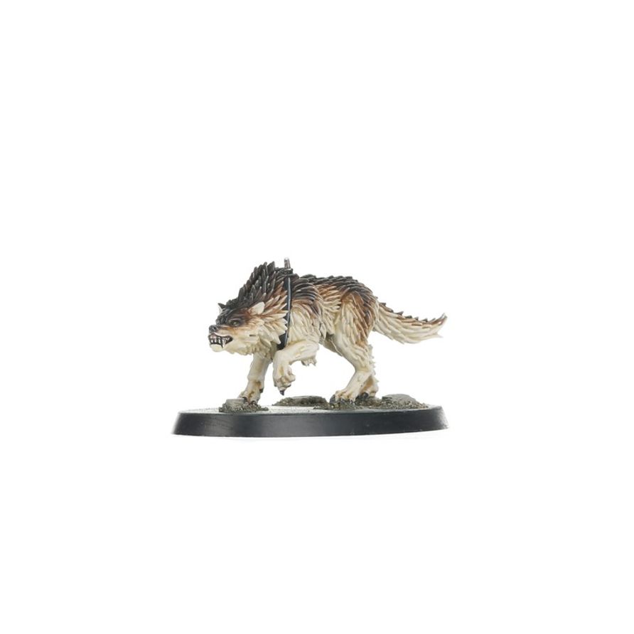 Kill Team: Wolf Scouts WARHAMMER 102-11