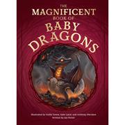 MAGNIFICENT BOOK OF BABY DRAGONS HC