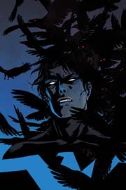 NIGHTWING #144 CVR C BECKY CLOONAN CARD STOCK VAR FOC October 26, 2026