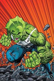 SAVAGE DRAGON ARCHIVES TP VOL 01 4TH PTG (MR) FOC October 12, 2026