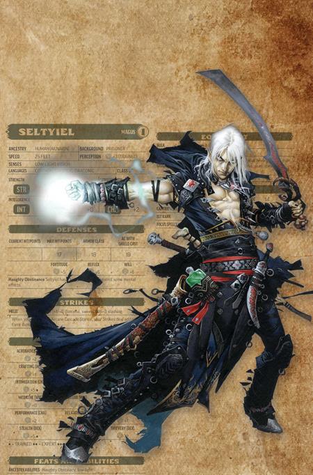 PATHFINDER VAMPIRELLA BLADE OF DARKNESS #3 CVR G INC 1:15 WAYNE REYNOLDS CHARACTER SHEET VIRGIN VAR FOC November 23, 2026