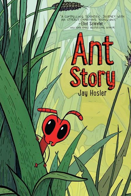 ANT STORY TP FOC November 2, 2026