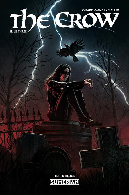 CROW FLESH AND BLOOD #3 CVR A EDUARDO SCHAAL (MR) FOC November 9, 2026