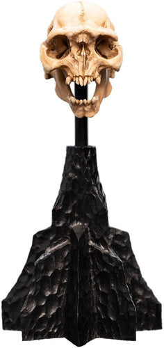 WETA Workshop Polystone - The Lord of the Rings Trilogy - Skull of a Moria Orc Polystone Statue