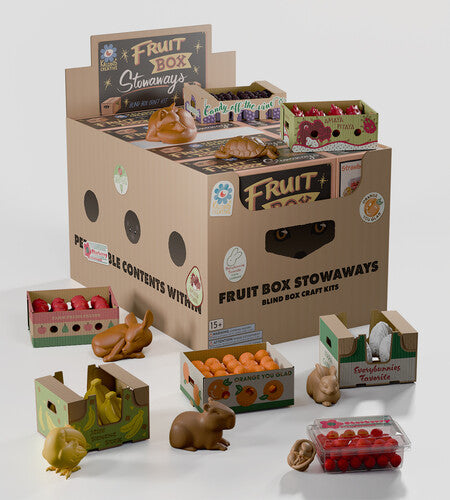 Kaleidos Fruit Box Stowaways DIY Craft Kit: Blind Box with 6-Piece PDQ
