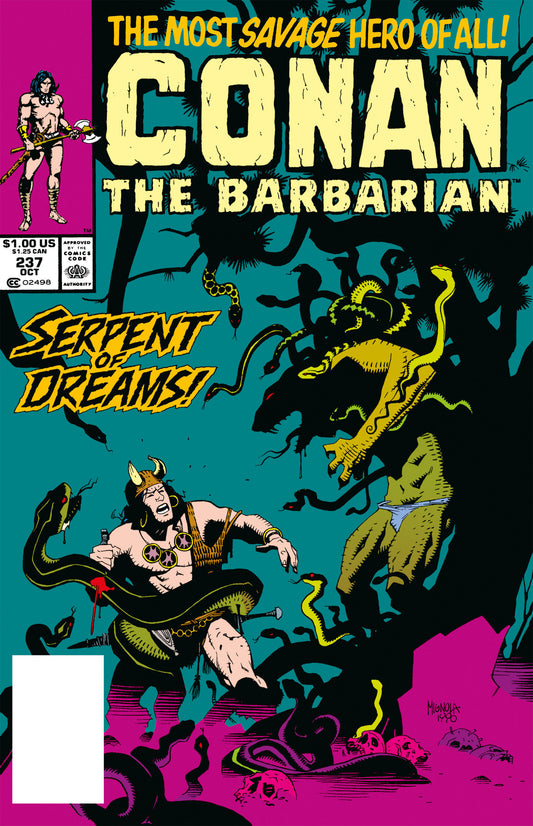 CONAN THE BARBARIAN THE ORIGINAL COMICS OMNIBUS HC VOL 09 DIRECT MARKET EDITION