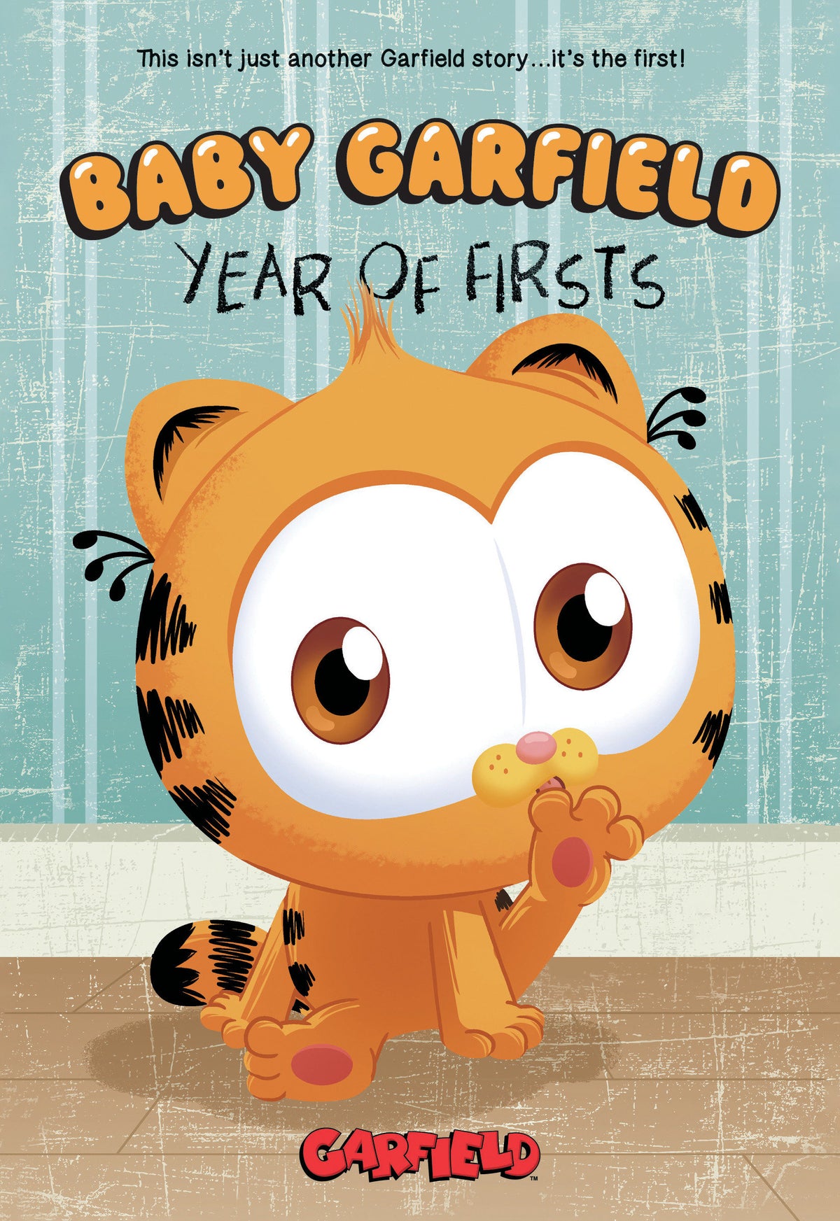 Baby Garfield Year of Firsts