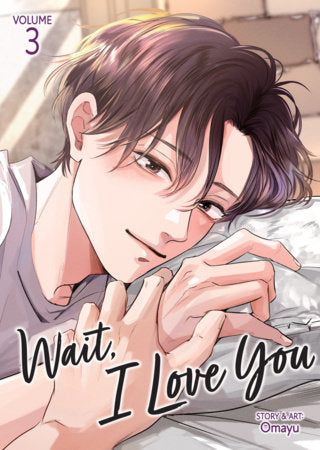 Wait, I Love You Vol. 3 FOC December 14, 2026