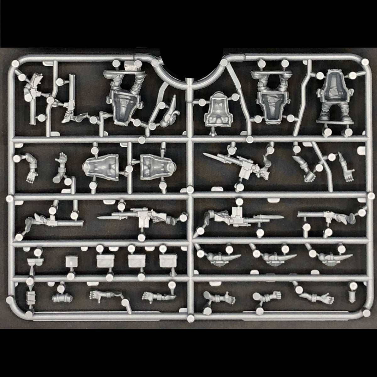 Quar Crusader Infantry