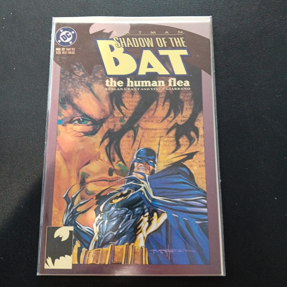 Batman: Shadow of the Bat #12