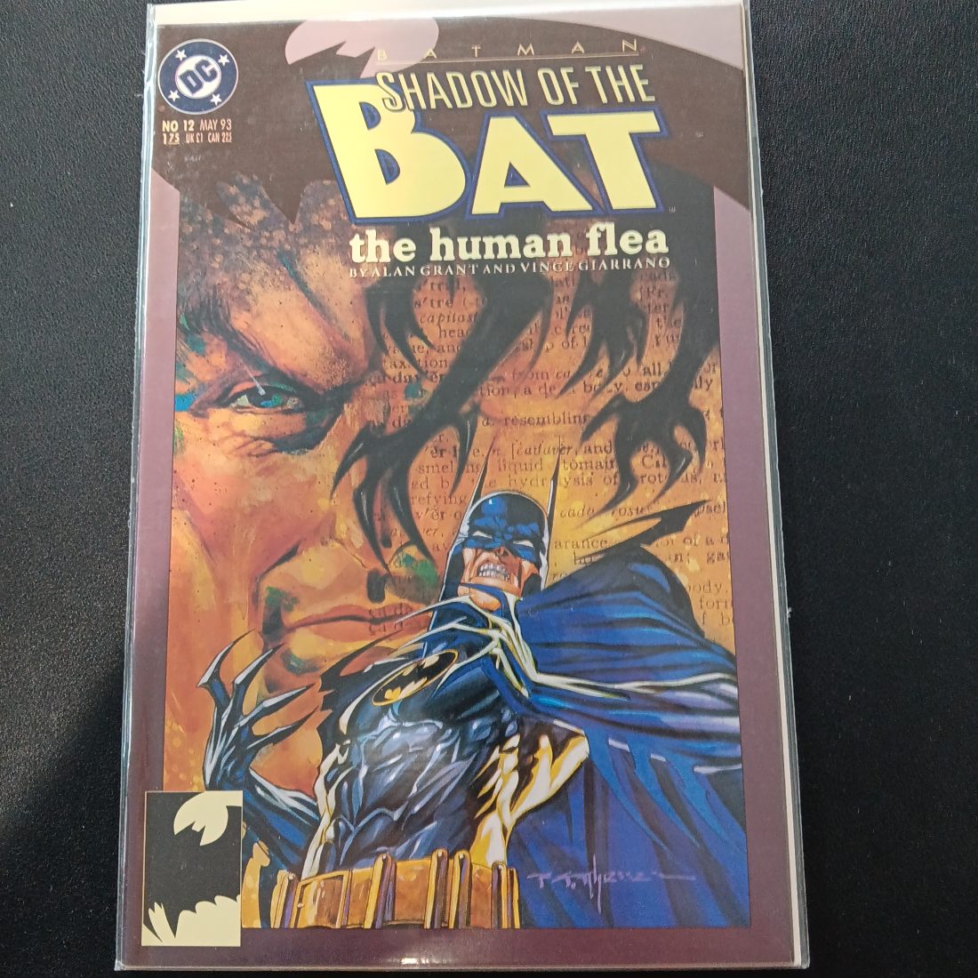 Batman: Shadow of the Bat #12