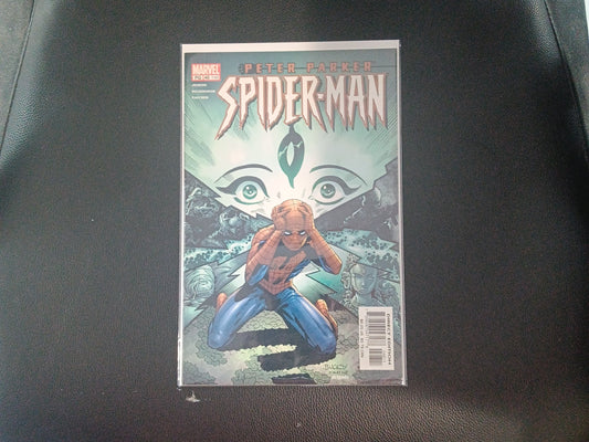 Peter Parker: Spider-Man #48 (2002) cover
