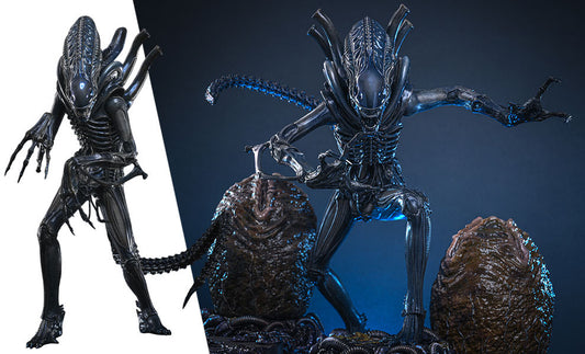 Alien Warrior Deluxe Version Sixth Scale Figure Hot Toys