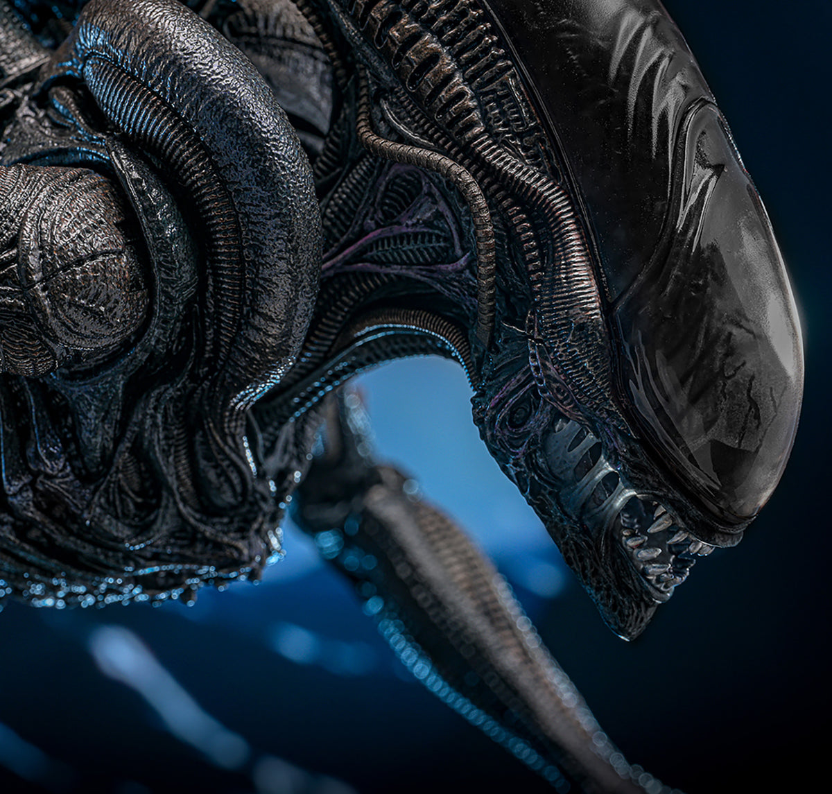 Scorched Xenomorph