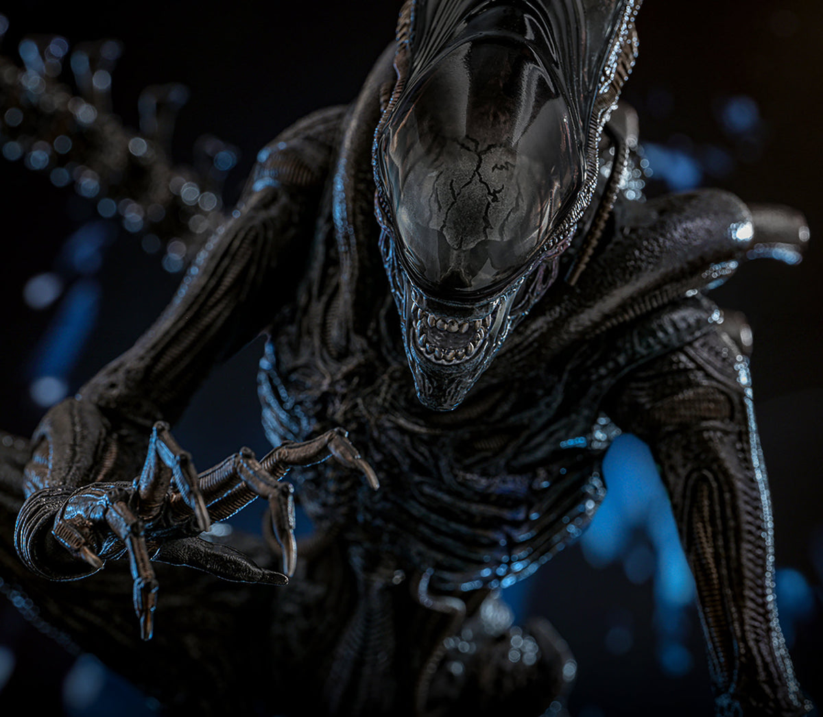 Scorched Xenomorph