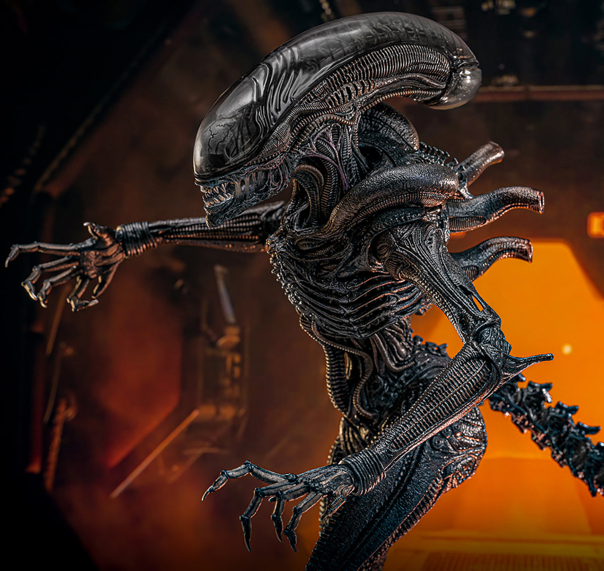 Scorched Xenomorph