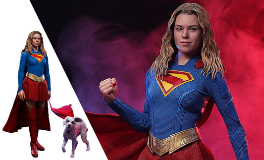 DC Comics Supergirl and Krypto Sixth Scale Figure Set Hot Toys