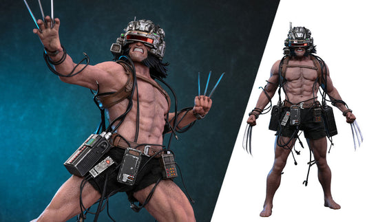 Marvel Weapon X Sixth Scale Figure Hot Toys