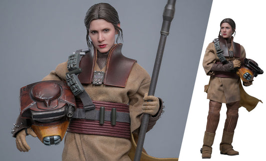 Star Wars Leia Organa Boushh Disguise Sixth Scale Figure