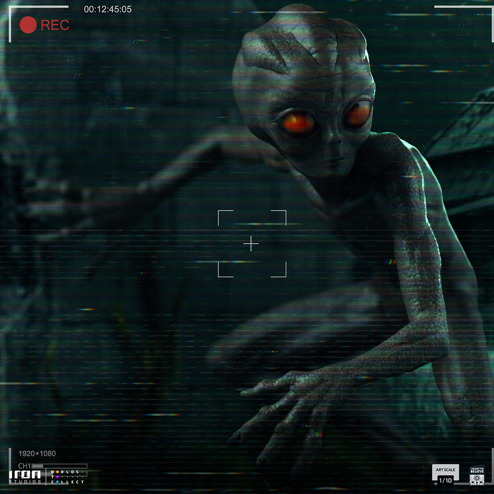 I Want To Believe - ET Varginha - 1:10 Scale Statue