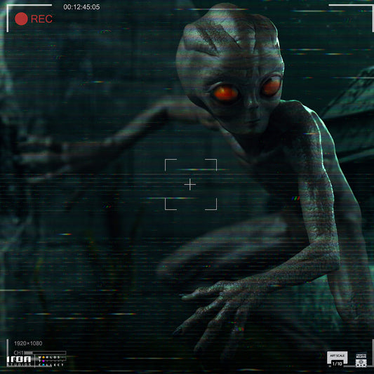 I Want To Believe - ET Varginha - 1:10 Scale Statue
