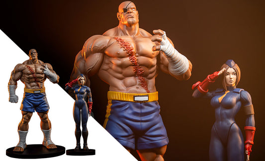 Street Fighter Sagat and Juli Street Jam 1:10 Scale Statue Set PCS
